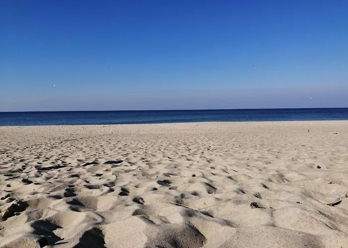 Apartamento Laurowy *